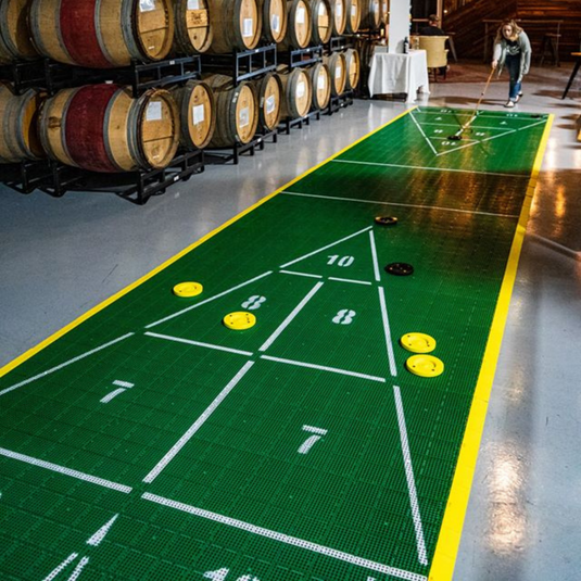 Compact Poly Shuffleboard Court – Weather‑Resistant 40‑Foot Play Surface